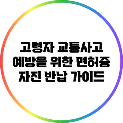 고령자 교통사고 예방을 위한 면허증 자진 반납 가이드
