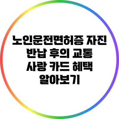 노인운전면허증 자진 반납 후의 교통 사랑 카드 혜택 알아보기