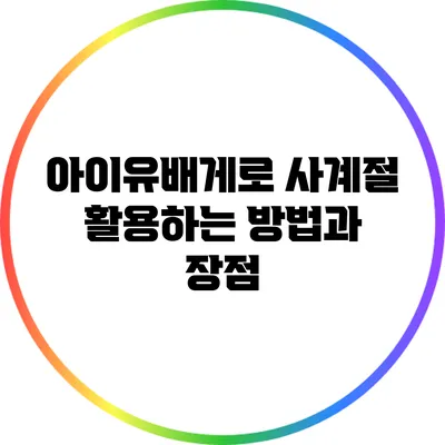 아이유배게로 사계절 활용하는 방법과 장점