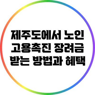 제주도에서 노인 고용촉진 장려금 받는 방법과 혜택