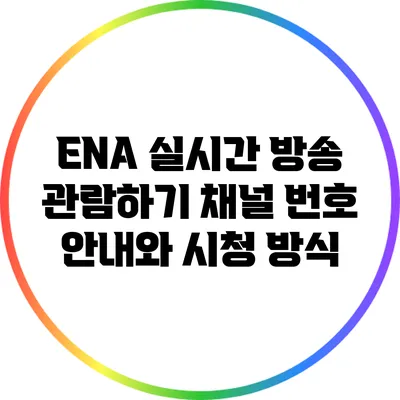 ENA 실시간 방송 관람하기: 채널 번호 안내와 시청 방식