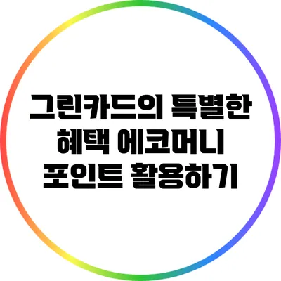 그린카드의 특별한 혜택: 에코머니 포인트 활용하기