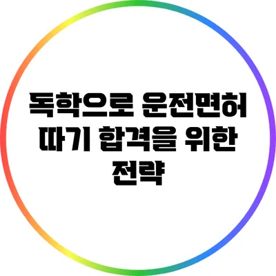 독학으로 운전면허 따기: 합격을 위한 전략
