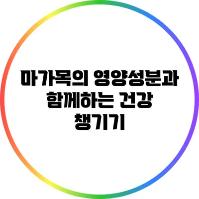 마가목의 영양성분과 함께하는 건강 챙기기
