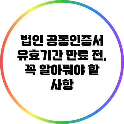법인 공동인증서 유효기간 만료 전, 꼭 알아둬야 할 사항