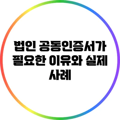 법인 공동인증서가 필요한 이유와 실제 사례