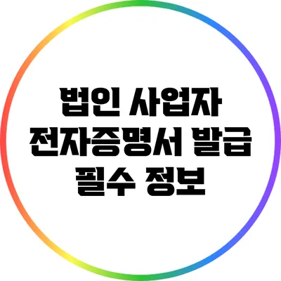 법인 사업자 전자증명서 발급 필수 정보