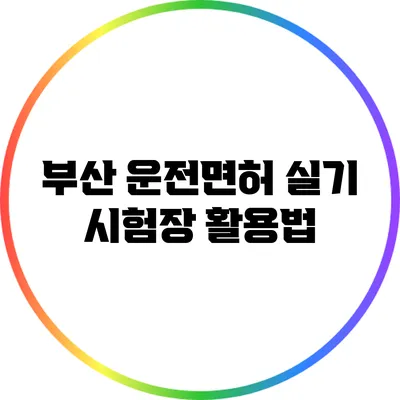 부산 운전면허 실기 시험장 활용법