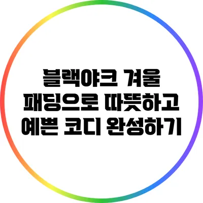 블랙야크 겨울 패딩으로 따뜻하고 예쁜 코디 완성하기