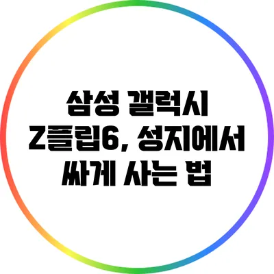 삼성 갤럭시 Z플립6, 성지에서 싸게 사는 법