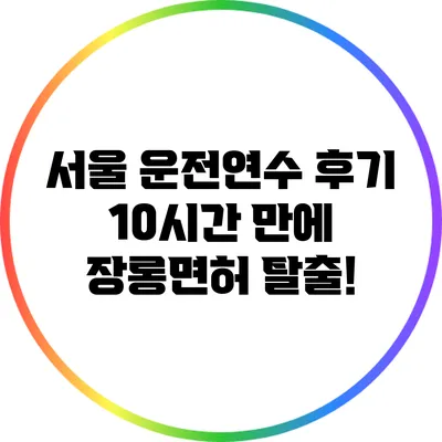 서울 운전연수 후기: 10시간 만에 장롱면허 탈출!