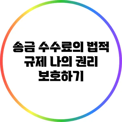 송금 수수료의 법적 규제: 나의 권리 보호하기