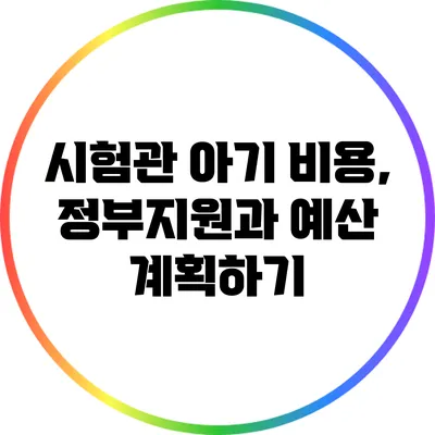 시험관 아기 비용, 정부지원과 예산 계획하기