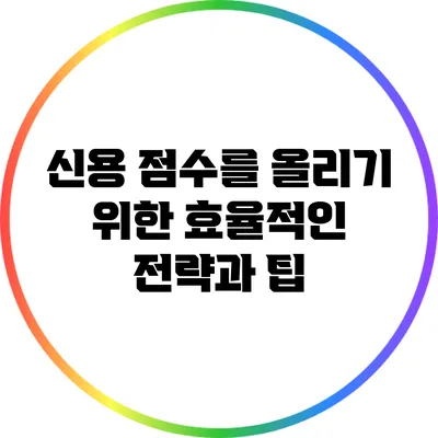 신용 점수를 올리기 위한 효율적인 전략과 팁