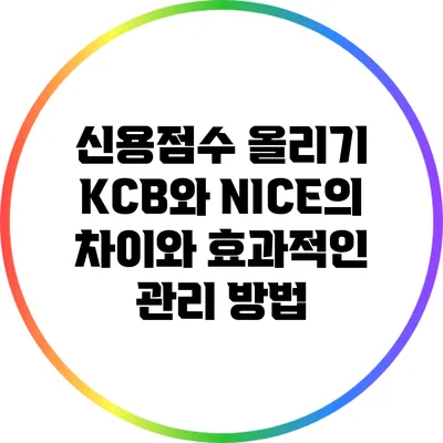 신용점수 올리기: KCB와 NICE의 차이와 효과적인 관리 방법