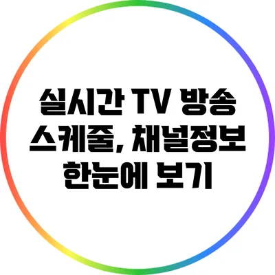 실시간 TV 방송 스케줄, 채널정보 한눈에 보기