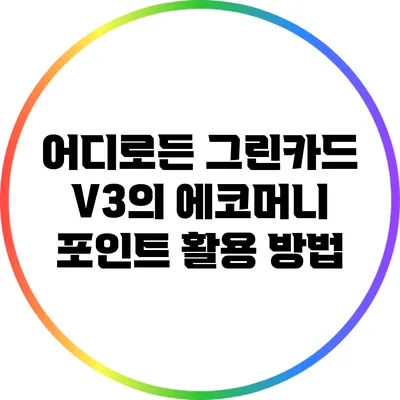 어디로든 그린카드 V3의 에코머니 포인트 활용 방법