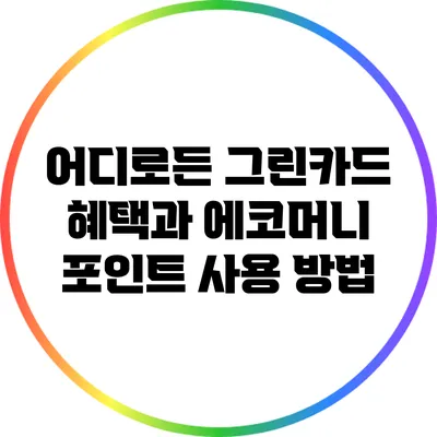 어디로든 그린카드 혜택과 에코머니 포인트 사용 방법
