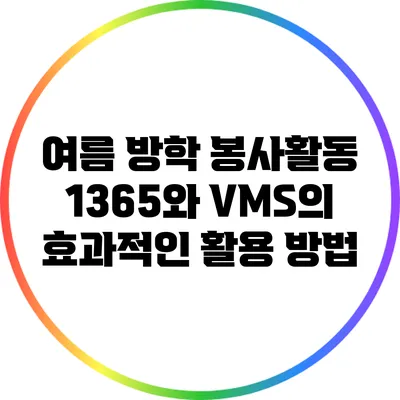 여름 방학 봉사활동: 1365와 VMS의 효과적인 활용 방법