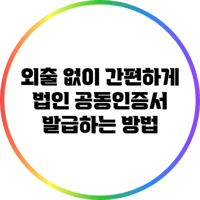 외출 없이 간편하게 법인 공동인증서 발급하는 방법