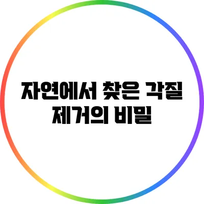 자연에서 찾은 각질 제거의 비밀