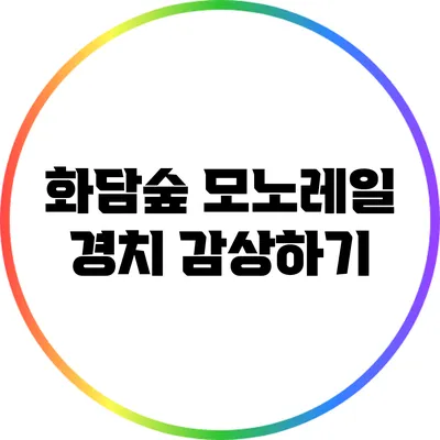 화담숲 모노레일 경치 감상하기