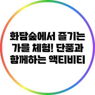 화담숲에서 즐기는 가을 체험! 단풍과 함께하는 액티비티
