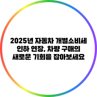 2025년 자동차 개별소비세 인하 연장, 차량 구매의 새로운 기회를 잡아보세요