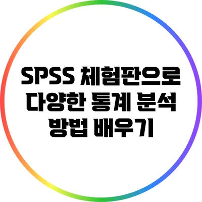 SPSS 체험판으로 다양한 통계 분석 방법 배우기