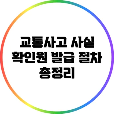 교통사고 사실 확인원 발급 절차 총정리