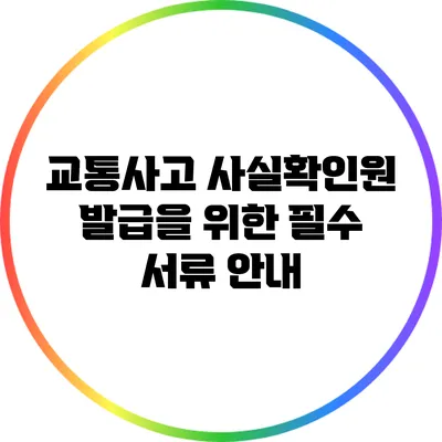교통사고 사실확인원 발급을 위한 필수 서류 안내