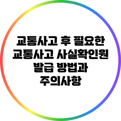 교통사고 후 필요한 교통사고 사실확인원 발급 방법과 주의사항
