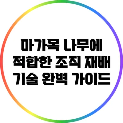 마가목 나무에 적합한 조직 재배 기술 완벽 가이드