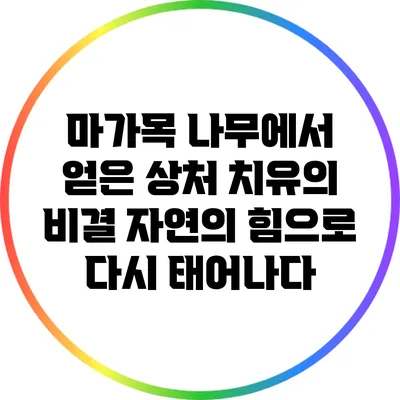 마가목 나무에서 얻은 상처 치유의 비결: 자연의 힘으로 다시 태어나다