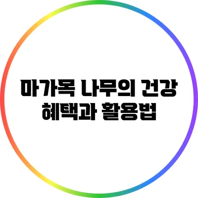 마가목 나무의 건강 혜택과 활용법