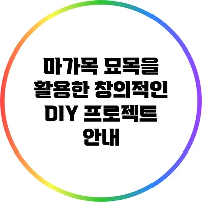 마가목 묘목을 활용한 창의적인 DIY 프로젝트 안내