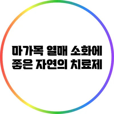 마가목 열매: 소화에 좋은 자연의 치료제