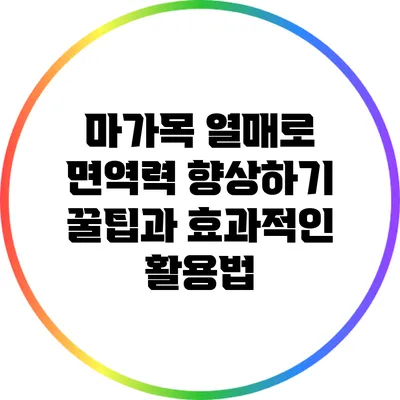 마가목 열매로 면역력 향상하기: 꿀팁과 효과적인 활용법