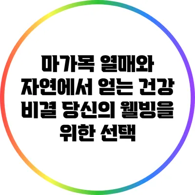마가목 열매와 자연에서 얻는 건강 비결: 당신의 웰빙을 위한 선택