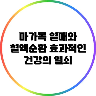 마가목 열매와 혈액순환: 효과적인 건강의 열쇠