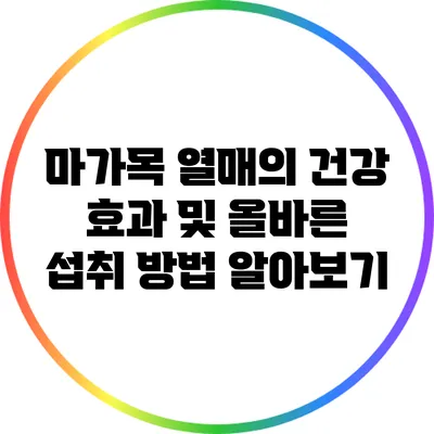 마가목 열매의 건강 효과 및 올바른 섭취 방법 알아보기