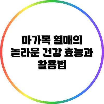 마가목 열매의 놀라운 건강 효능과 활용법