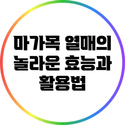 마가목 열매의 놀라운 효능과 활용법