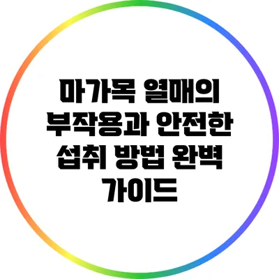 마가목 열매의 부작용과 안전한 섭취 방법 완벽 가이드