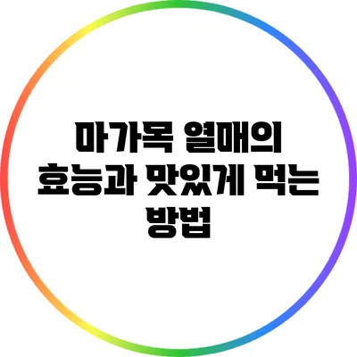 마가목 열매의 효능과 맛있게 먹는 방법