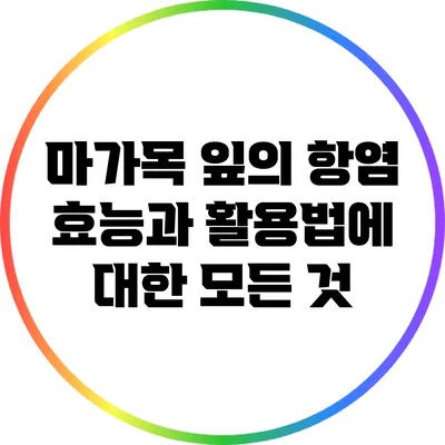마가목 잎의 항염 효능과 활용법에 대한 모든 것