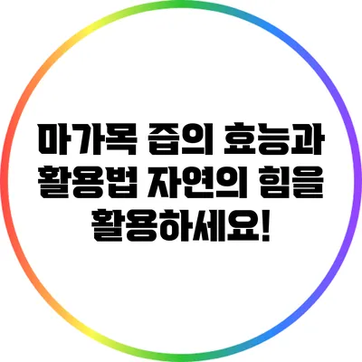 마가목 즙의 효능과 활용법: 자연의 힘을 활용하세요!