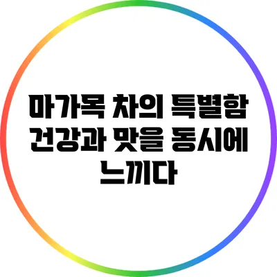 마가목 차의 특별함: 건강과 맛을 동시에 느끼다