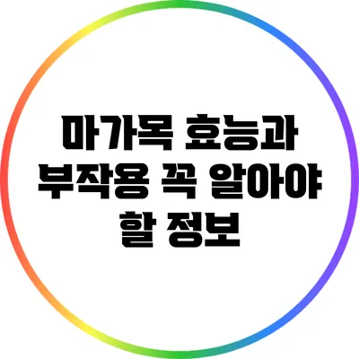 마가목 효능과 부작용: 꼭 알아야 할 정보