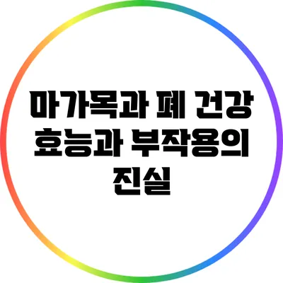 마가목과 폐 건강: 효능과 부작용의 진실